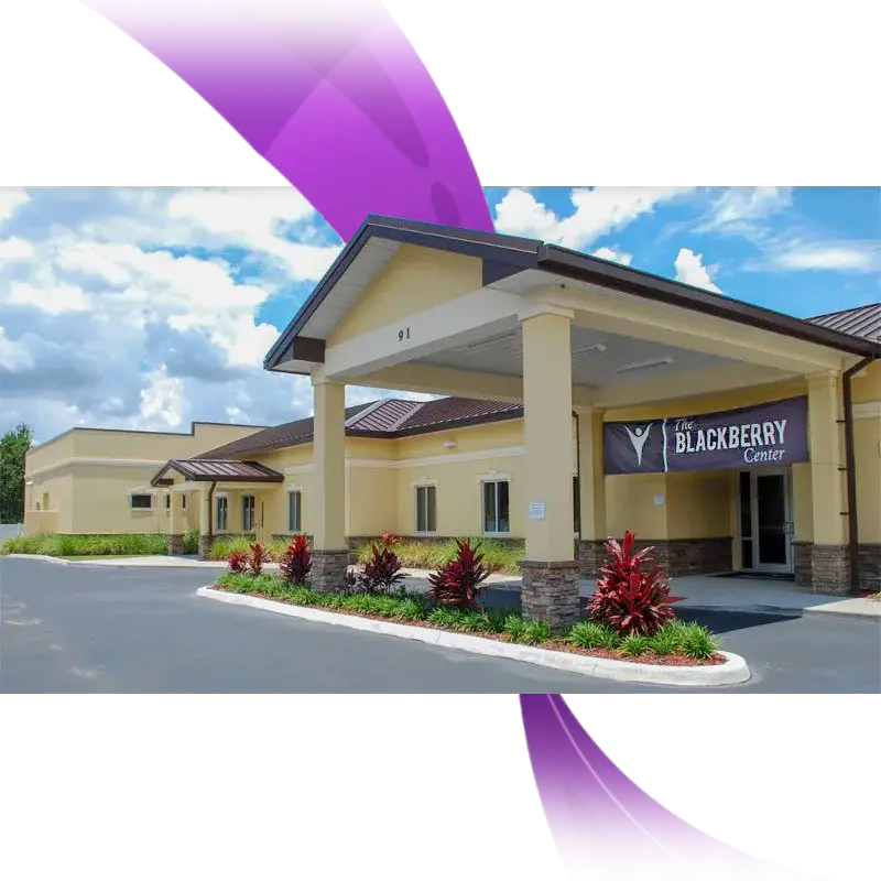 Blackberry Center Behavioral Hospital — drug and alcohol detox center