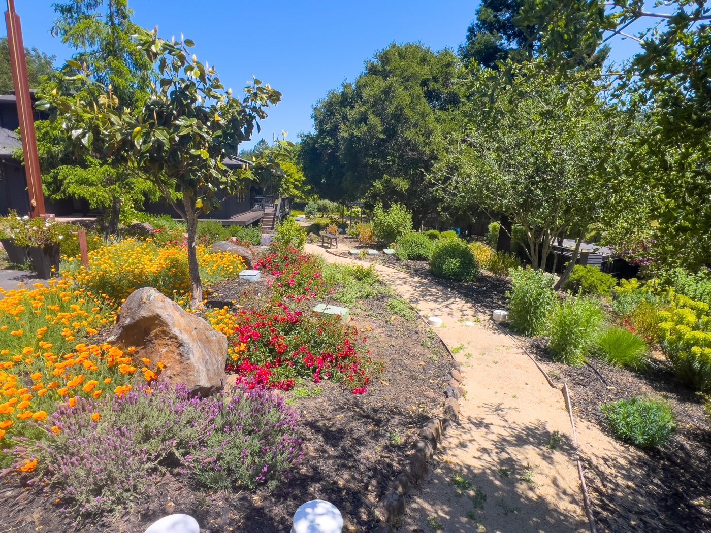 Serenity Knolls Treatment Center Chemical Dependency Recovery Program — drug and alcohol detox center