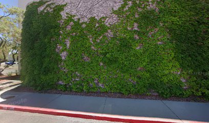 NM Department of Health Turquoise Lodge Hospital — drug and alcohol detox center