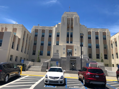 Veterans Affairs Medical Center Addiction Recovery Treatment Services — drug and alcohol detox center