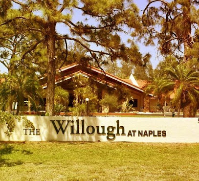 Willough at Naples — drug and alcohol detox center