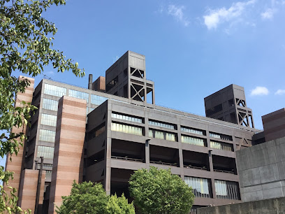 Woodhull Medical Center Div of Chemical Dep/Dept of Psych — drug and alcohol detox center