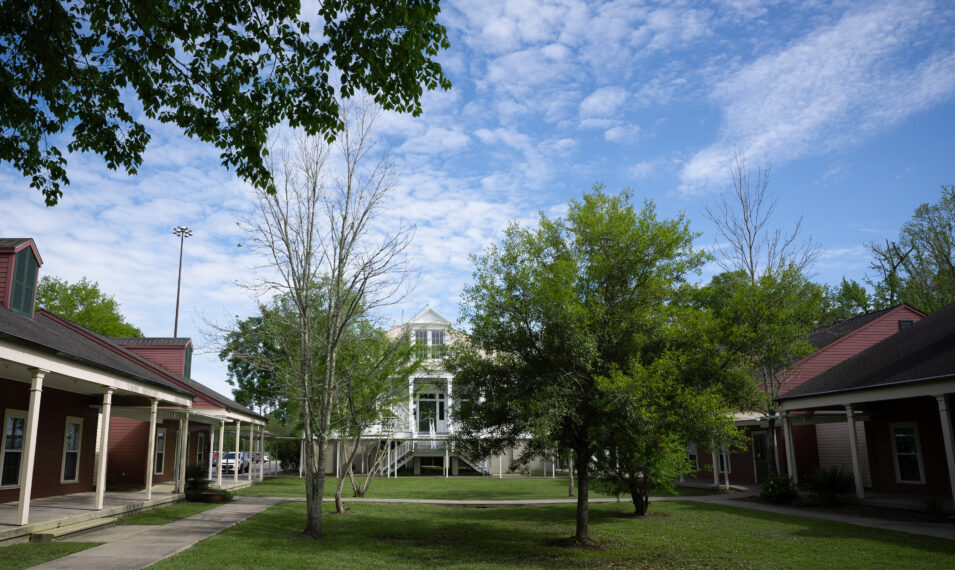 Grove of LA LLC in Sorrento, LA