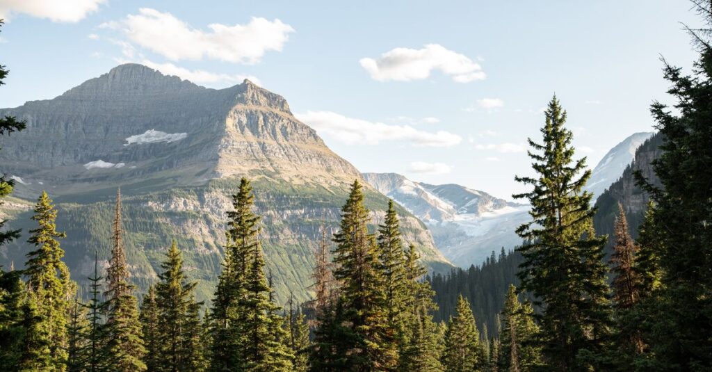 Montana skyline