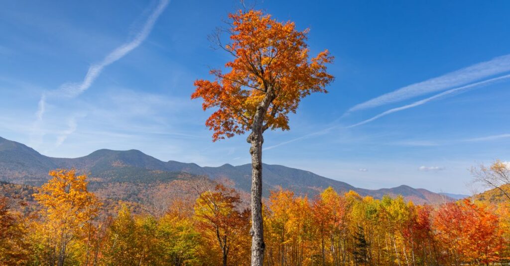 New Hampshire skyline
