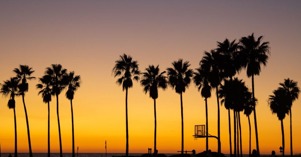 Venice, CA skyline