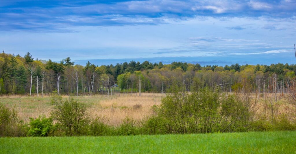 Greenfield, MA skyline