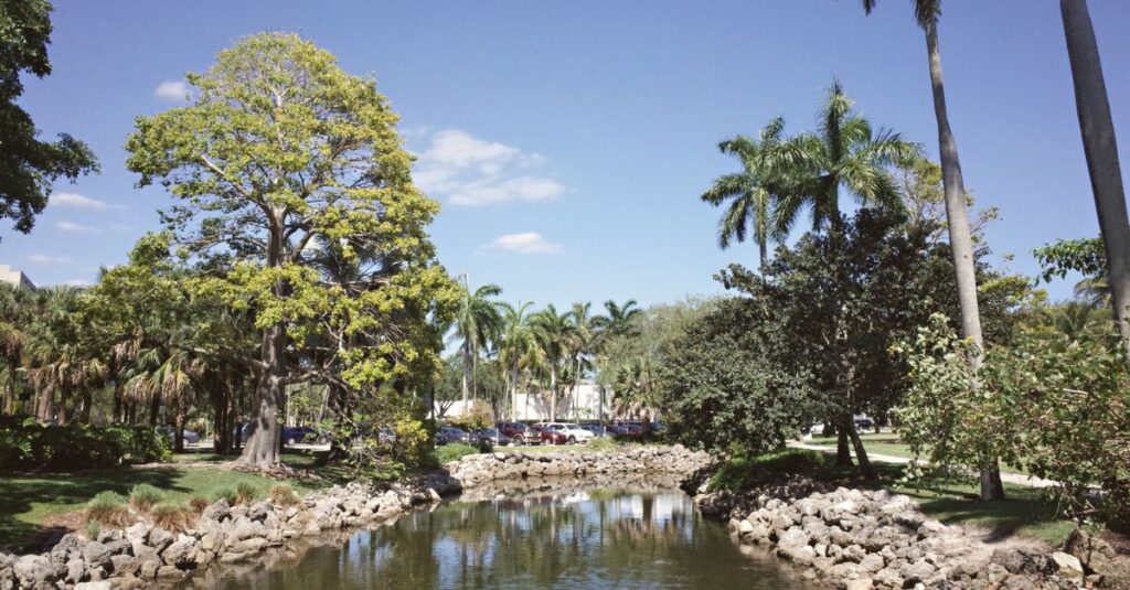 Coral Springs, FL skyline
