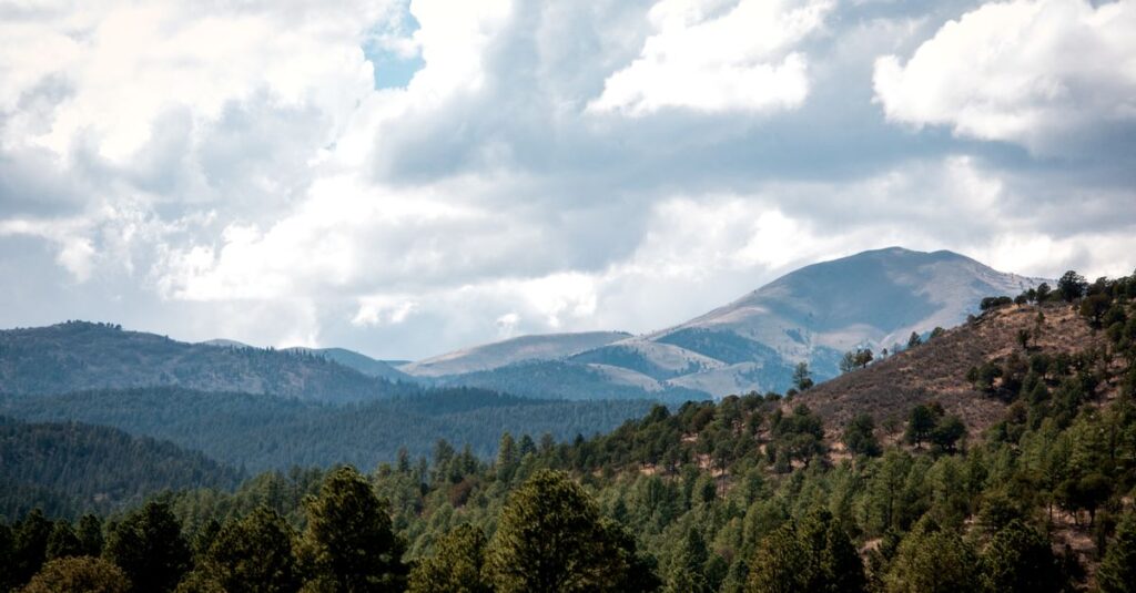 New Mexico skyline