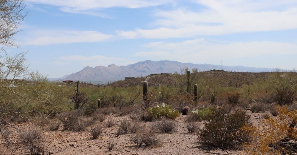 Tucson, AZ skyline