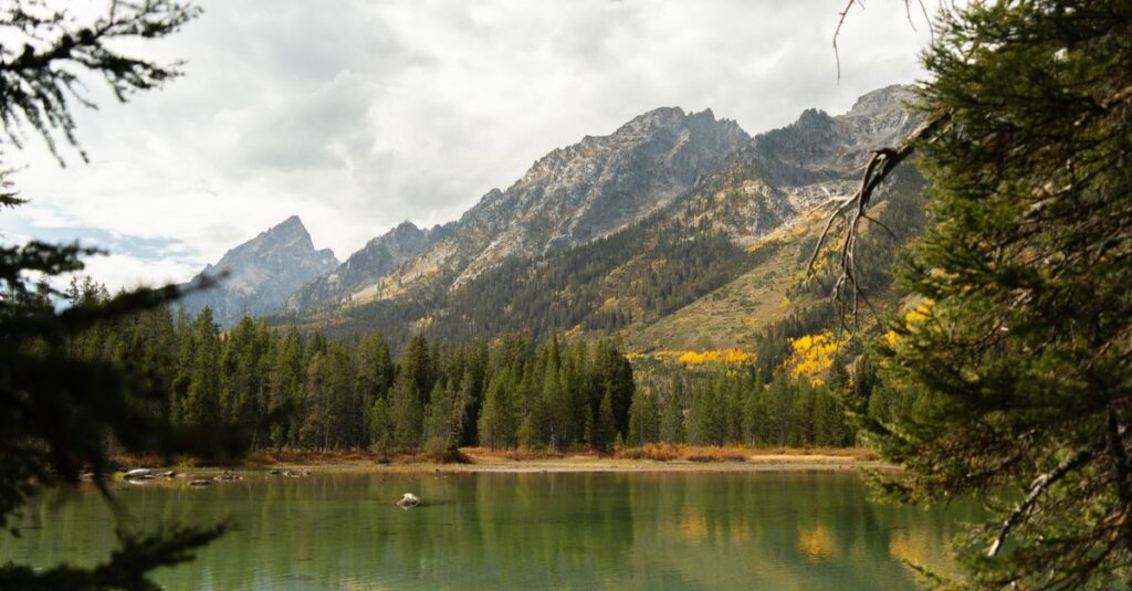 Wyoming skyline