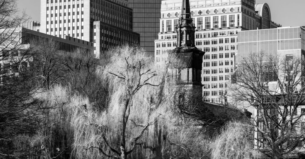 Brookline, MA skyline